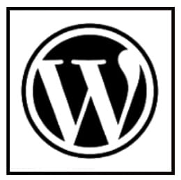 wordpress expert near me - the digital ink
